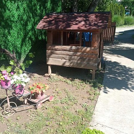 Tera Nova Villa Vrdnik Dış mekan fotoğraf