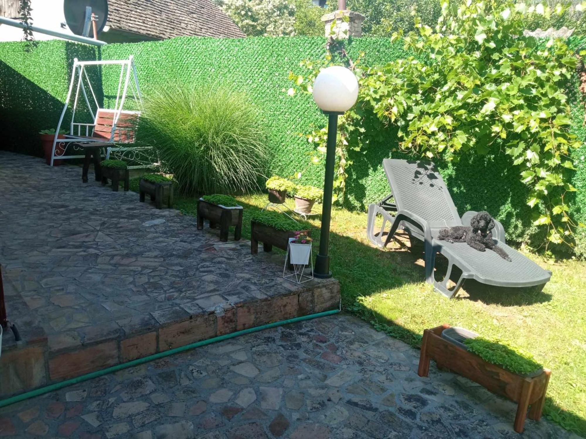Tera Nova Villa Vrdnik Dış mekan fotoğraf