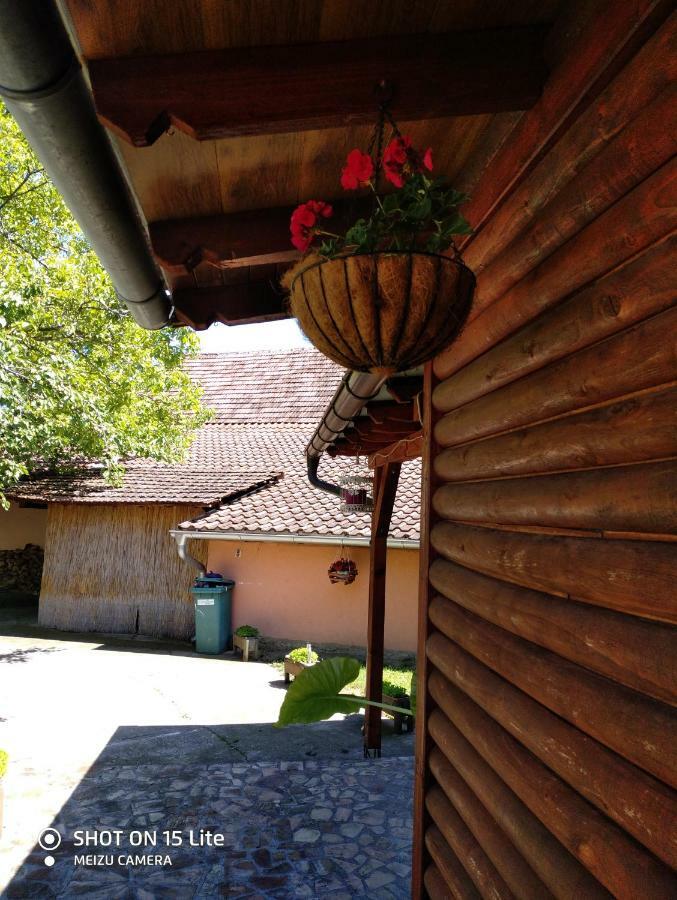 Tera Nova Villa Vrdnik Dış mekan fotoğraf